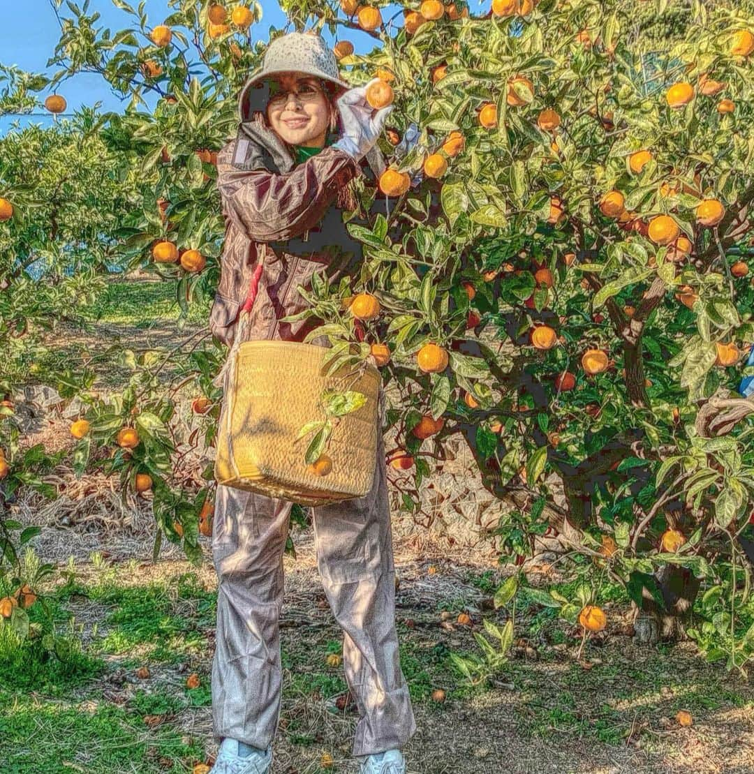 大桃美代子のインスタグラム