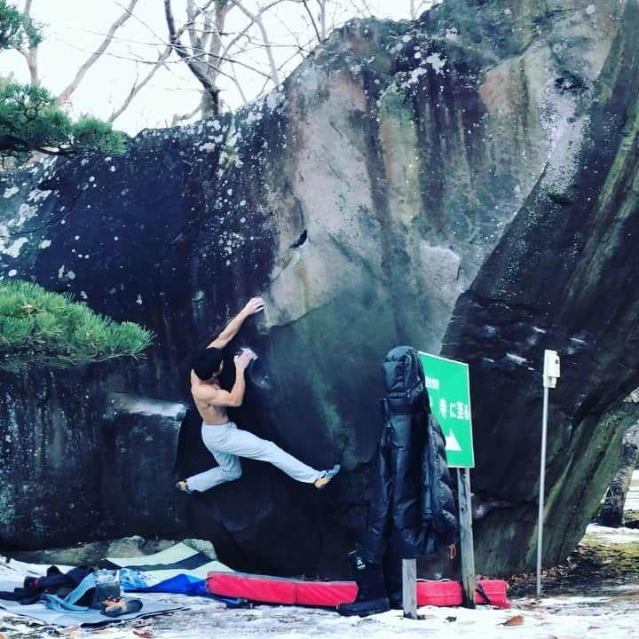 杉本怜のインスタグラム：「Blood beans  7c+﻿ FA @umeume_umezo ﻿ Usu Zenkoji boulder in Hokkaido﻿ ﻿ 全然岩に来る予定なんてなかったけど、PAXの誘いで北海道の善光寺ボルダーに来ました。PAXの9年間プロジェクトは全く歯が立たなかったけど、昨年登られたブラッドビーンズ3段をゲット！良課題なんで北海道に来ることあればぜひ！﻿ ﻿ photo @paxmachine87 ﻿ ﻿ ﻿ #有珠ボルダー　#北の大地でボルダリング ﻿ ﻿ #マイナビ  #オリエンタルバイオ #みらい住宅開発紀行 #raffine #mammut #lasportiva #rhinoandbird #東京粉末 #rollfilm ﻿ @orientalbio1991 @mammut_japan @lasportivajp @tokyopowder @rhinoandbird_nishinippori @kashi_koubou_sundial﻿」