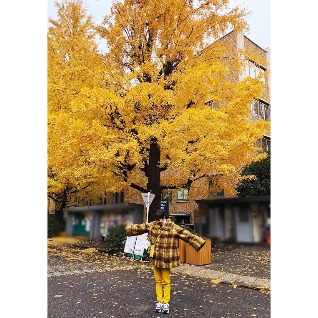木南晴夏さんのインスタグラム写真 - (木南晴夏Instagram)「🍁×イエローマン」12月10日 16時52分 - kinamitopan