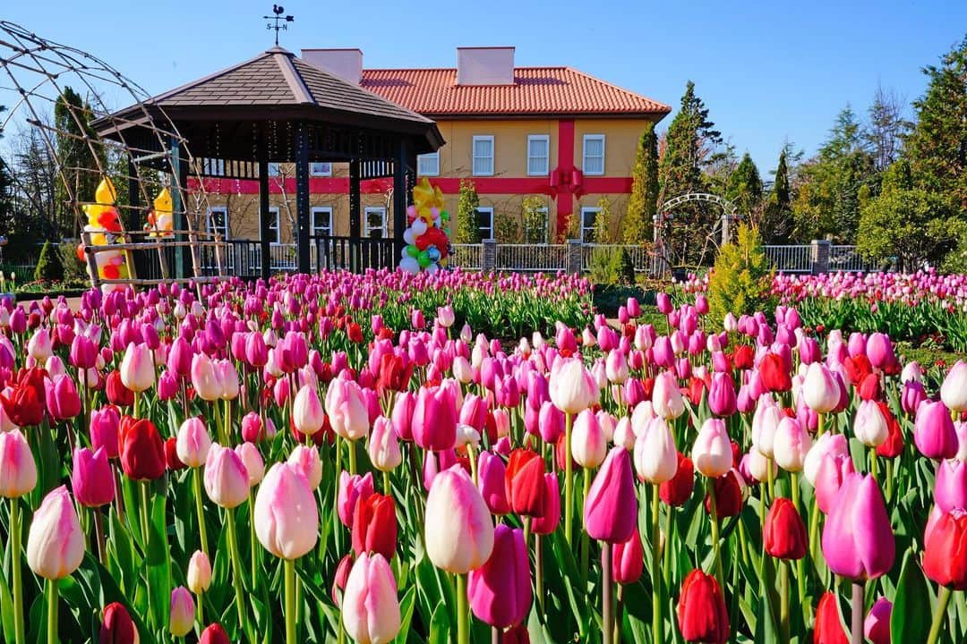 平塚市のグルメインスタ