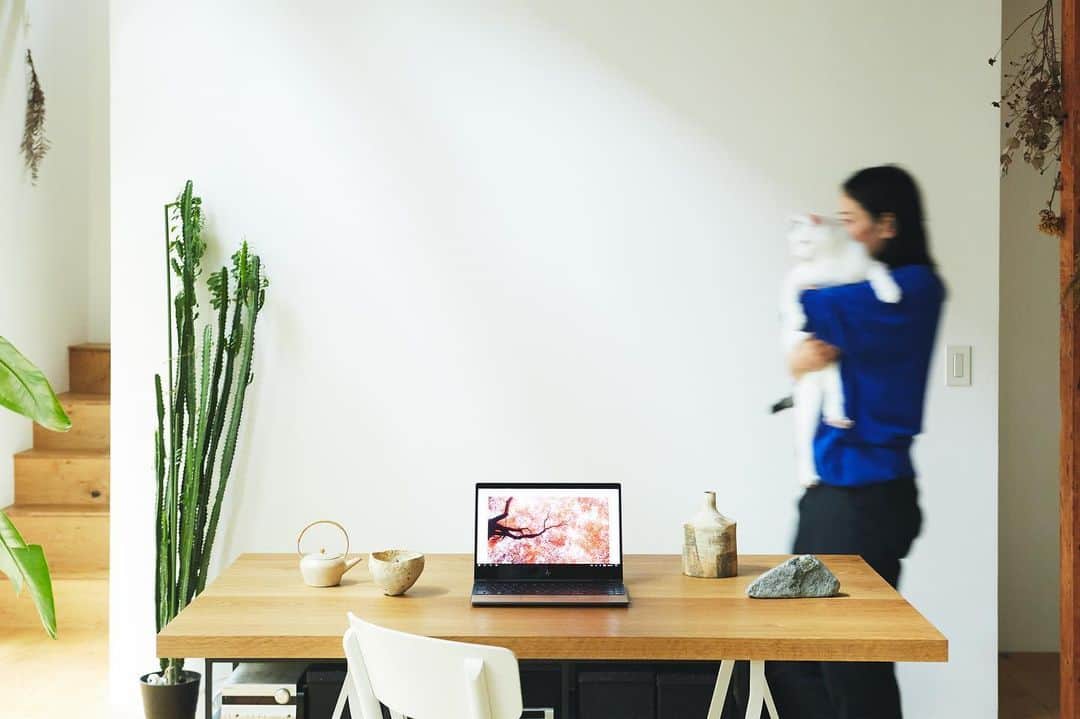 のインスタグラム：「. @openersjapan で HP ENVY x360 13 Wood Editionの コンテンツに出ています。 ハウススタジオのにゃんこ、ピカちゃんがあまりに懐っこくて可愛くて、たくさん一緒に出演してもらったよ。2歳で7キロもあるの！」