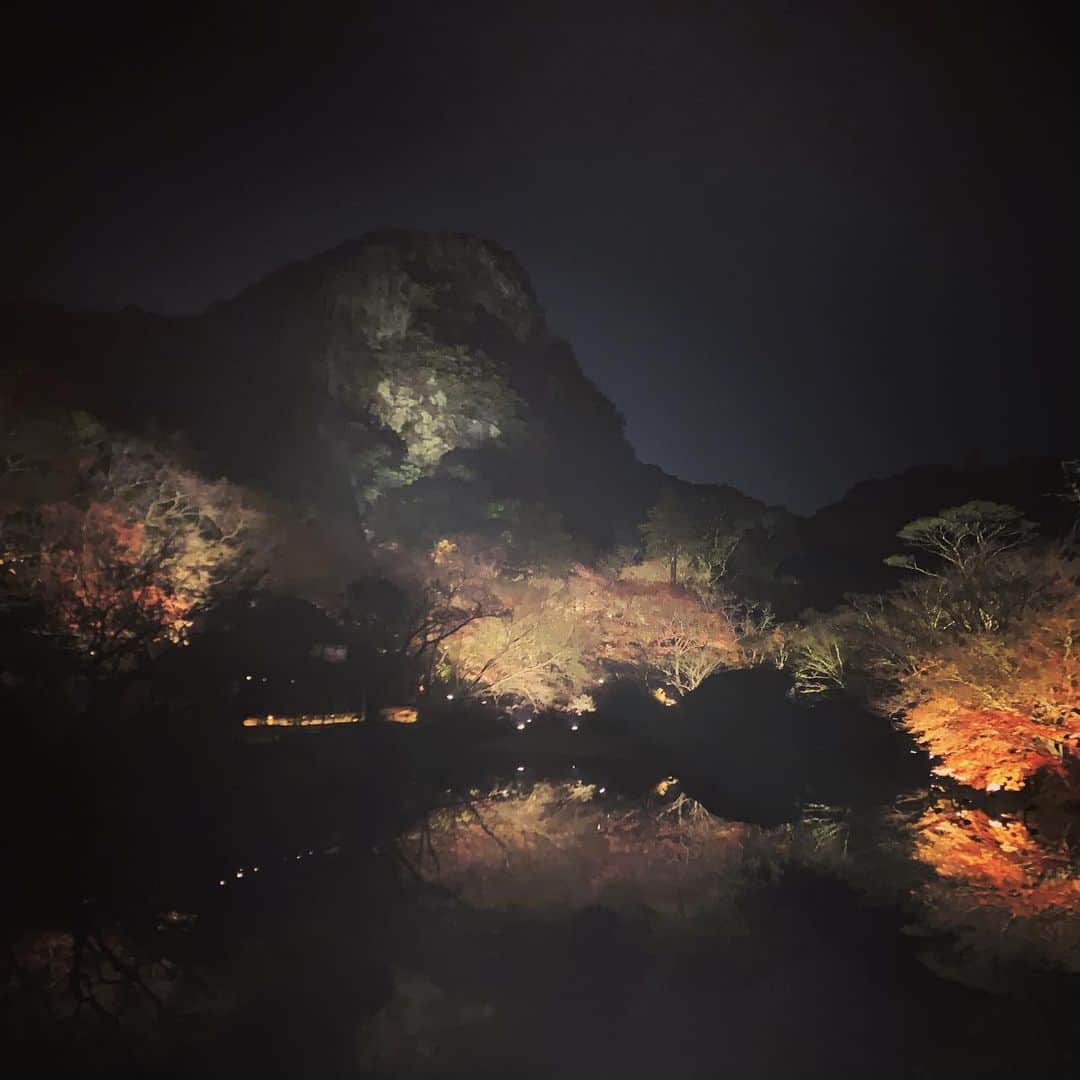 中村晃さんのインスタグラム写真 - (中村晃Instagram)「温泉行ってきました。 天気も良く、リフレッシュになりました。  #竹林亭  #佐賀 #武雄 #温泉 #最高の贅沢」12月10日 17時17分 - akira.nakamura7