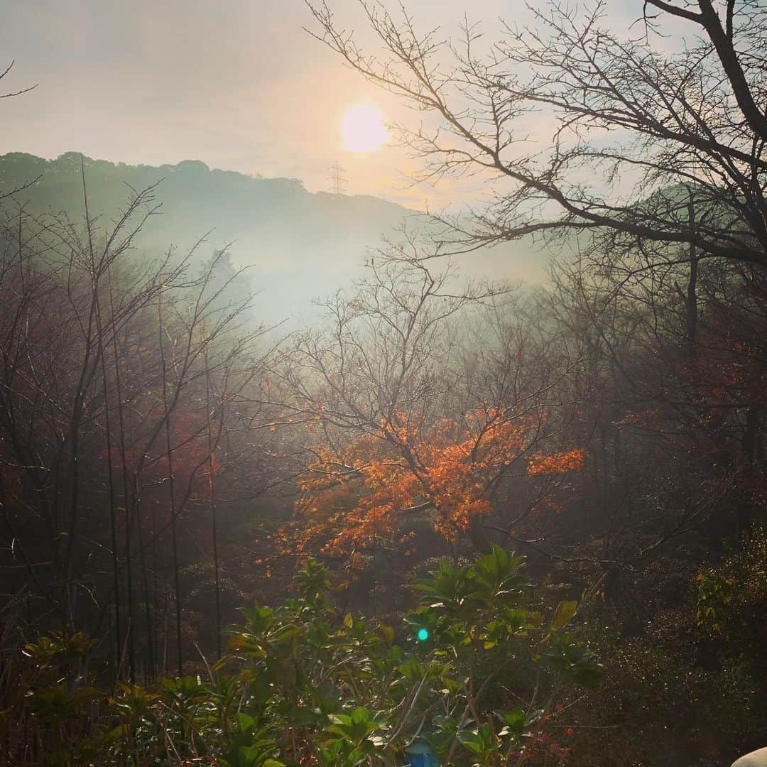 中村晃さんのインスタグラム写真 - (中村晃Instagram)「温泉行ってきました。 天気も良く、リフレッシュになりました。  #竹林亭  #佐賀 #武雄 #温泉 #最高の贅沢」12月10日 17時17分 - akira.nakamura7