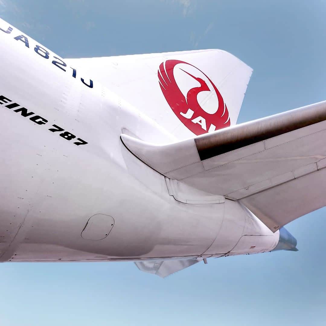 のインスタグラム：「. Time to experience all that winter has to offer! #DramaticDecember  冬にしか見られない景色を見に行こう✈︎❄️ . . Post your memories with #FlyJAL  #JapanAirlines  #travel #airplane #travelawesome #momentofmine」