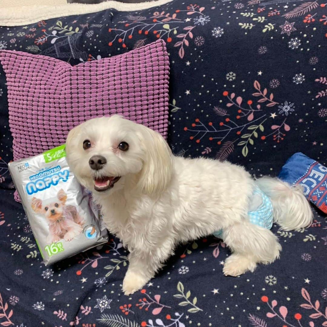 のインスタグラム：「クラブスポンサーコーチョー様よりネオオムツを頂き、実家に届けてきました！ ありがとうございます😊  #コーチョー #ネオオムツ」
