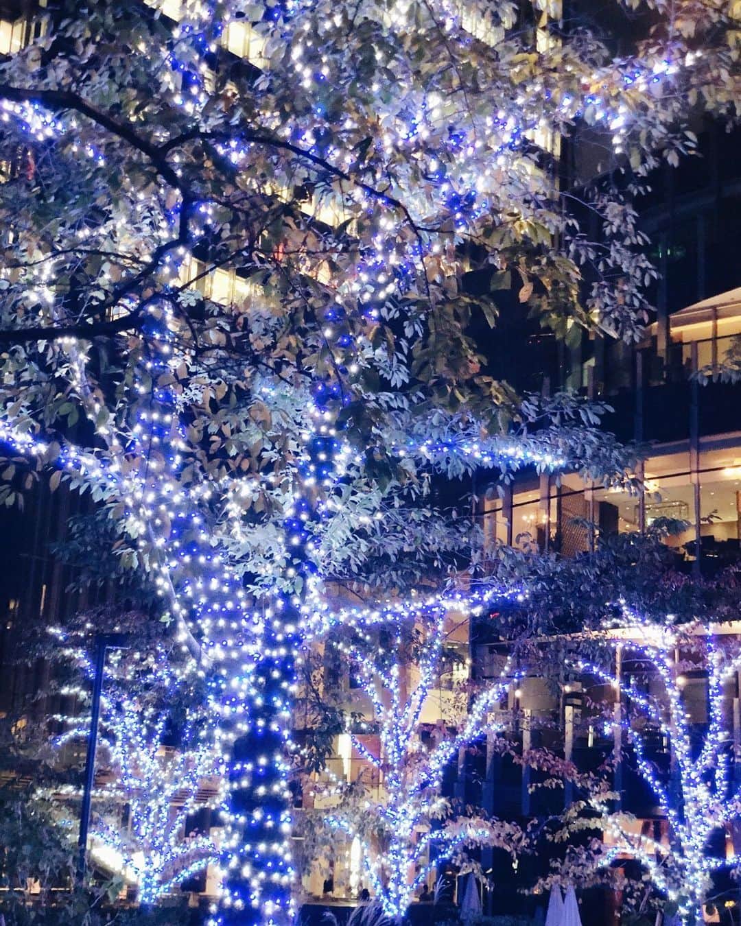 大橋菜央さんのインスタグラム写真 - (大橋菜央Instagram)「MIDTOWN CHRISTMAS 2019✯ . . . 見どころいっぱいの東京ミッドタウンのイルミネーション お目当てのスターライトガーデンがはじまったので 家族でお出かけ🥳 . 芝生広場に現れた巨大宇宙のイルミネーションは 押し寄せるブルーの光の波や流星が駆け巡るような光のショーはアート作品のよう💫 . ショーのクライマックスには しゃんぼんだまが飛び出してMiaは捕まえようと大興奮🙌🌈 . 前回見れなかったインフィニティサンタや クリスマスツリーも巡って クリスマス気分いっぱいで帰宅🎄 . 帰りの車ですでに“また行く“というMiaを連れて また期間中に見に来れたらいいな☺️✨ . . ✮MIDTOWN CHRISTMAS✮ 2019年11月14日(木)〜12月25日(水) しゃぼん玉イルミネーションは12月18日まで💫 . #東京ミッドタウン #TOKYOMIDTOWN #ミッドタウンクリスマス #MIDTOWNCHRISTMAS #クリスマス #六本木 #イルミネーション #スターライトガーデン #しゃぼん玉イルミネーション #サンタツリー #インフィニティサンタ #クリスマスマーケット #promotion」12月10日 17時36分 - naoliving