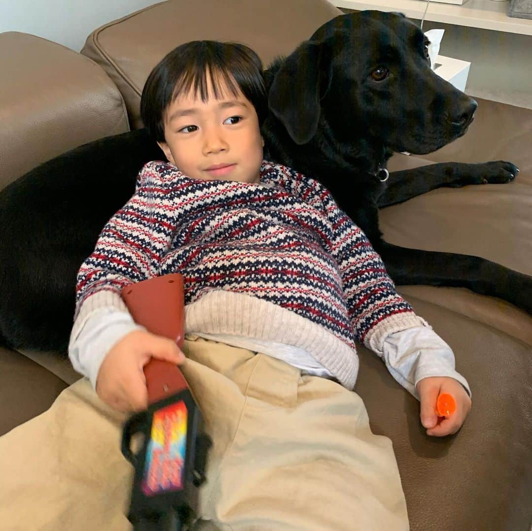 新原愛加のインスタグラム：「. 友達のお家のラブラドールが 本当にいい子でかわいい☺️💓」