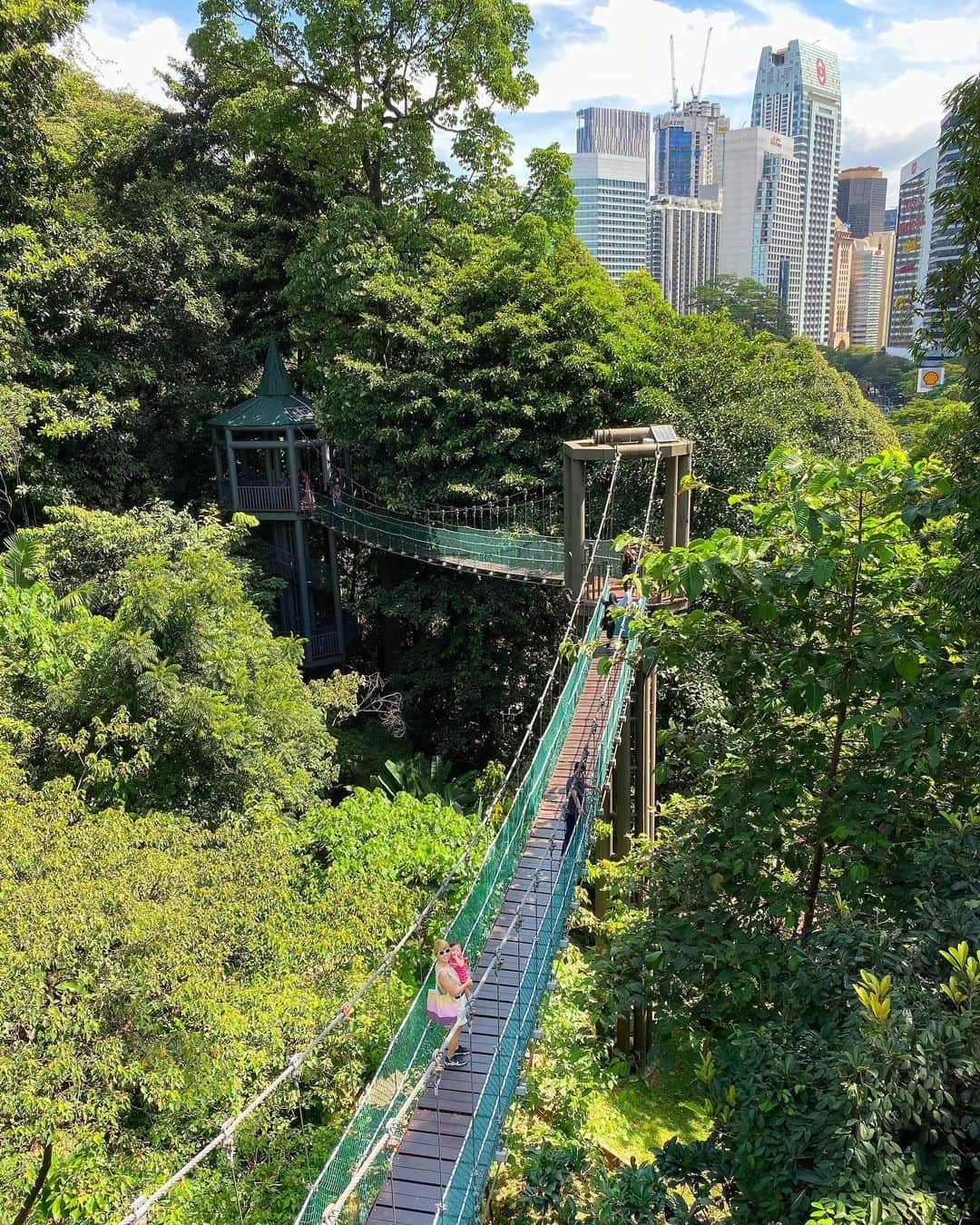 吉田ちかさんのインスタグラム写真 - (吉田ちかInstagram)「I’ve always wanted to try the safari look lol What better place than Eco Park one of the oldest forest reserves in Kuala Lumpur? (well, Africa yes... someday!) Walking from hanging bridge to hanging bridge, felt a little like Tarzan lol﻿ ﻿ 前からトライしてみたかったサファリコーデ🦁都内のど真ん中にあり、クアラルンプールで最も古い森林保護区の一つ「エコパーク」にて😚 吊り橋から吊り橋へと渡ってターザンになった気分w ﻿ ﻿ BTW! 明日11日、読売新聞 夕刊の「Pop Style」で紹介されます☆よかったらチェックしてください❤️」12月10日 21時20分 - bilingirl_chika