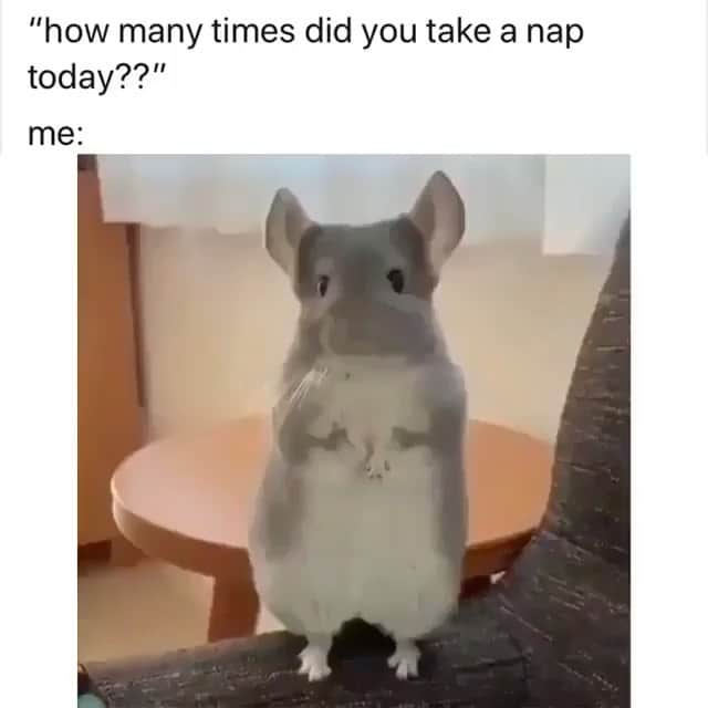 BeStylishのインスタグラム：「How many? 😂😅 _  Follow @bestylish for more awesome daily content! _ . . #bestylish #art #fashion #funny #entertainment #funnyanimals #cuteanimals #whocanrelate #memes #christmas #nails」
