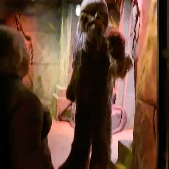のインスタグラム：「私とあいあいがキャーキャー叫んでる動画。  #chewbacca #starwars」