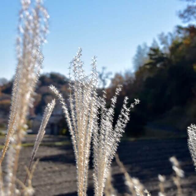 牧野誠三のインスタグラム