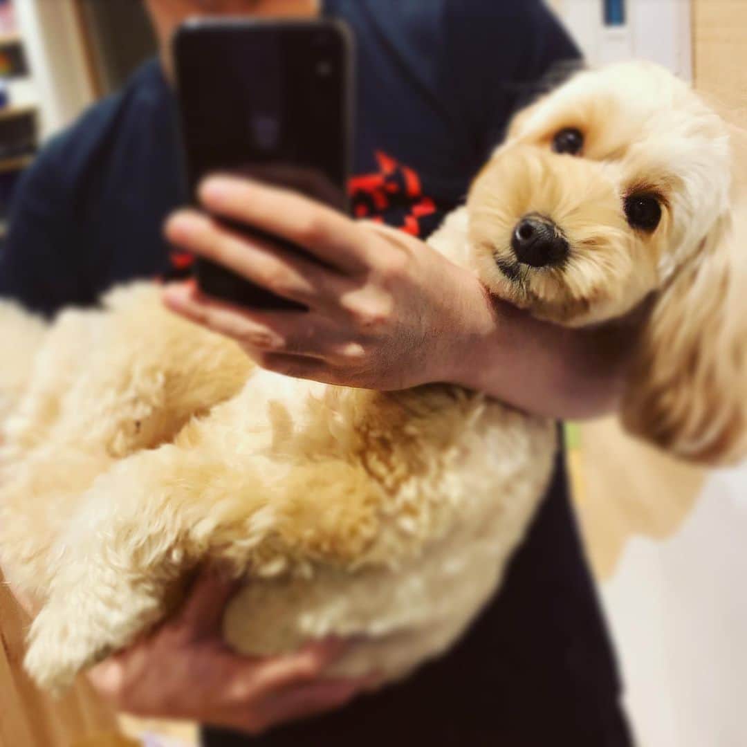 北山陽一のインスタグラム：「ちょっとドヤ顔？ #きたやまおかき」