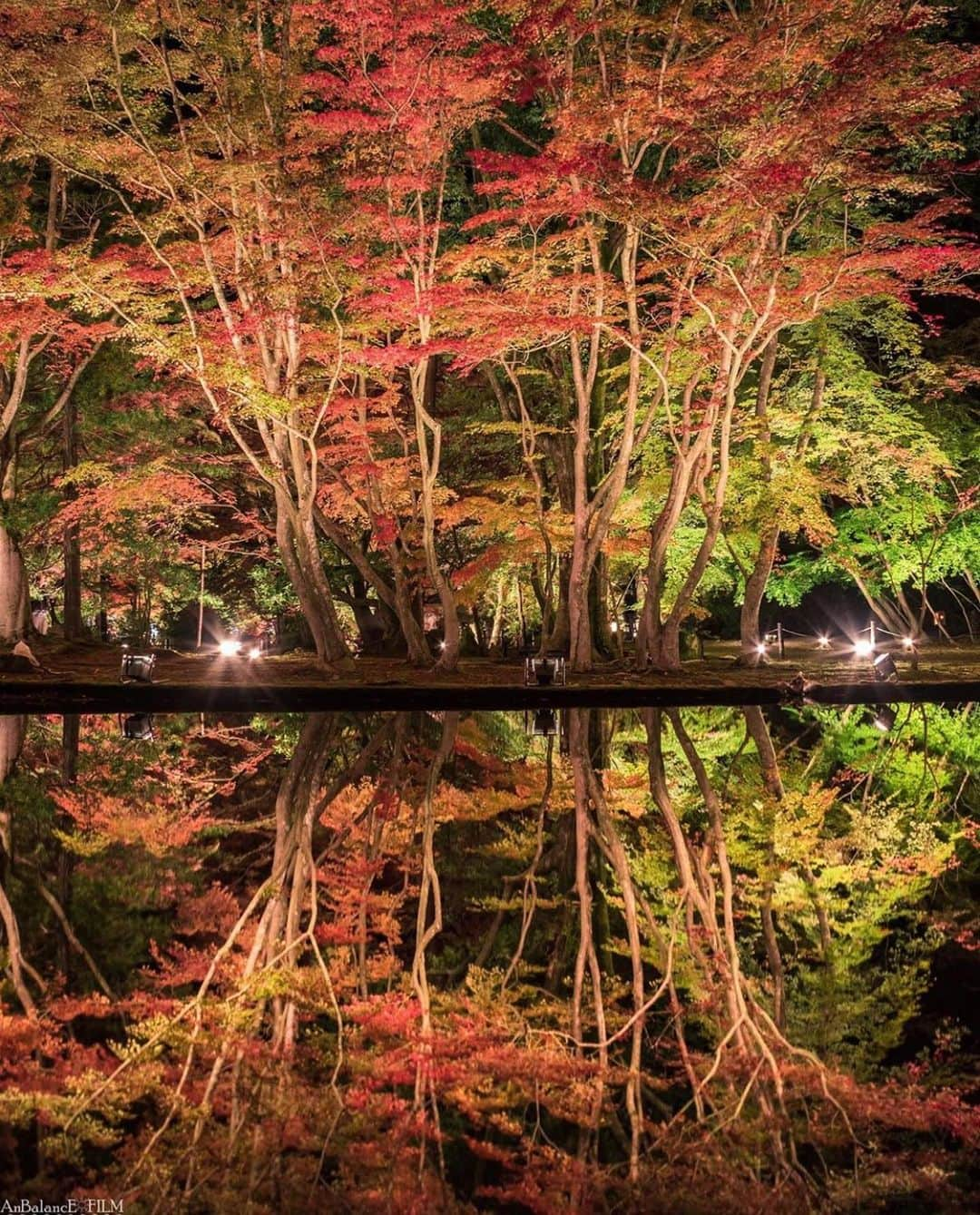 はなまっぷ❁日本の花風景さんのインスタグラム写真 - (はなまっぷ❁日本の花風景Instagram)「🍂🍁はなまっぷの紅葉まつり🍁🍂 * @anbalance_filmさんの 紅葉に花まるを💮 * 色とりどりに染まる美しい日本の秋をありがとうございます😊🍁🍂 * 愛知　#岩屋堂公園 Iwayado Park, Aichi Pref. 愛知　#岡崎東公園 Okazaki Higashi Park, Aichi Pref. 岐阜　#曽木公園 Sogi Park, Gifu Pref. * 見頃を過ぎている場所もご紹介しています。 お出かけの際はHP等で最新の情報をご確認くださいね🙏🍁 * 🍁•••🍂•••🍁•••🍂•••🍁•••🍂 * 🍂🍁はなまっぷの紅葉まつり🍁🍂 〜紅葉の季節が終わる頃まで #はなまっぷ  のタグの中から、紅葉のお写真をご紹介させていただきます。期間中はランダムに、複数枚投稿でもご紹介させていただく場合がございます。 * #秋#紅葉#風景#はなまっぷ」12月10日 22時49分 - hanamap