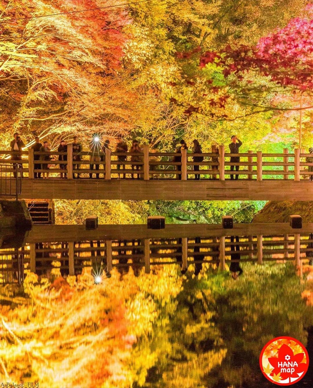 はなまっぷ❁日本の花風景のインスタグラム