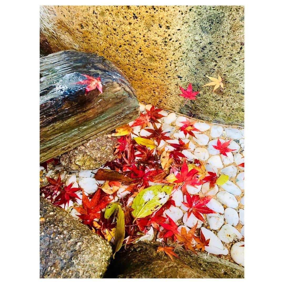 小林由佳さんのインスタグラム写真 - (小林由佳Instagram)「◽︎◾︎◽︎◾︎OFF season◾︎◽︎◾︎◽︎ ・ Even though I retired as an athlete still I have taking "OFF" season¨̮ It's one of the reason for makes more intense "ON" mode😘👍🏻 ・ ・ 中学生でアスリートに足を突っ込んで以来 シーズン後はオフを取るのが習慣化していたので 現役を引退した今でも毎年この時期になるとオフシーズンを取っています¨̮ ・ ネイルしてみたり(べっ甲ネイルに初挑戦してみた!💅) 食 解放したり(そもそも今はそこまで制限してないけど笑) ずっとずっと計画してたネズミーもやっと行けて最&高!🐭🚢 ・ 1年間ためた日焼けを眺めると 今年もたくさん陽の下で登ったなってしみじみします☀︎🌻😊」12月10日 23時02分 - yuca_tan