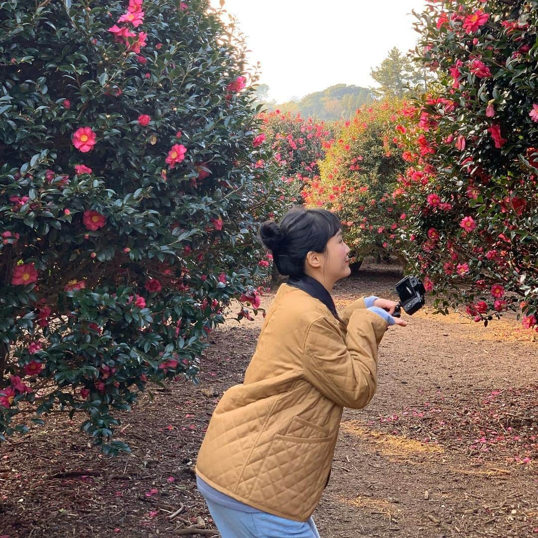 などちゃん（이선형／イソンヒョン）さんのインスタグラム写真 - (などちゃん（이선형／イソンヒョン）Instagram)「🌺💖 #동백포레스트」12月10日 23時39分 - nado_odo