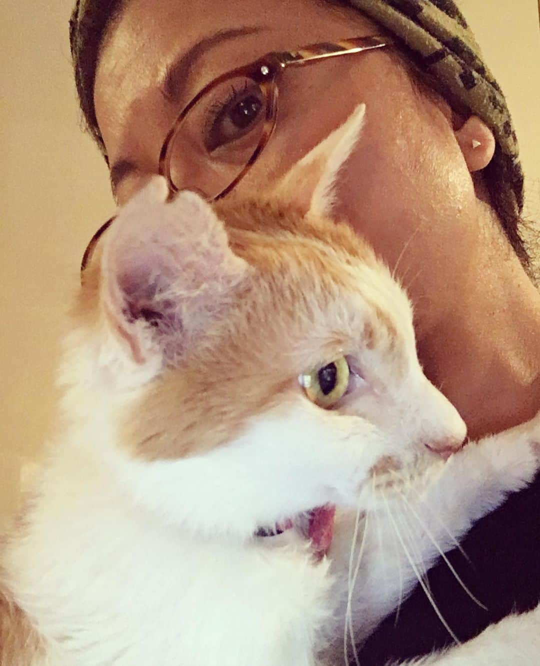 のインスタグラム：「キラリン✨  母娘写真♡  #猫沢イオ」