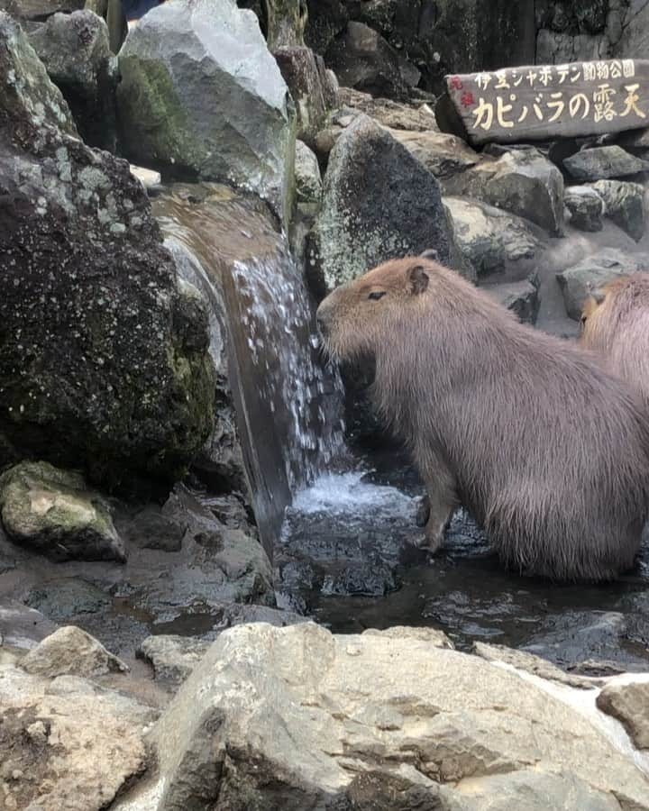 たかはしゆいのインスタグラム