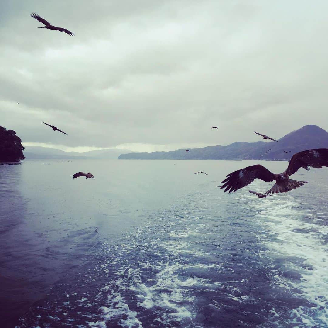 岸田繁さんのインスタグラム写真 - (岸田繁Instagram)「猛禽のいる風景」12月11日 1時49分 - kishidashigeru