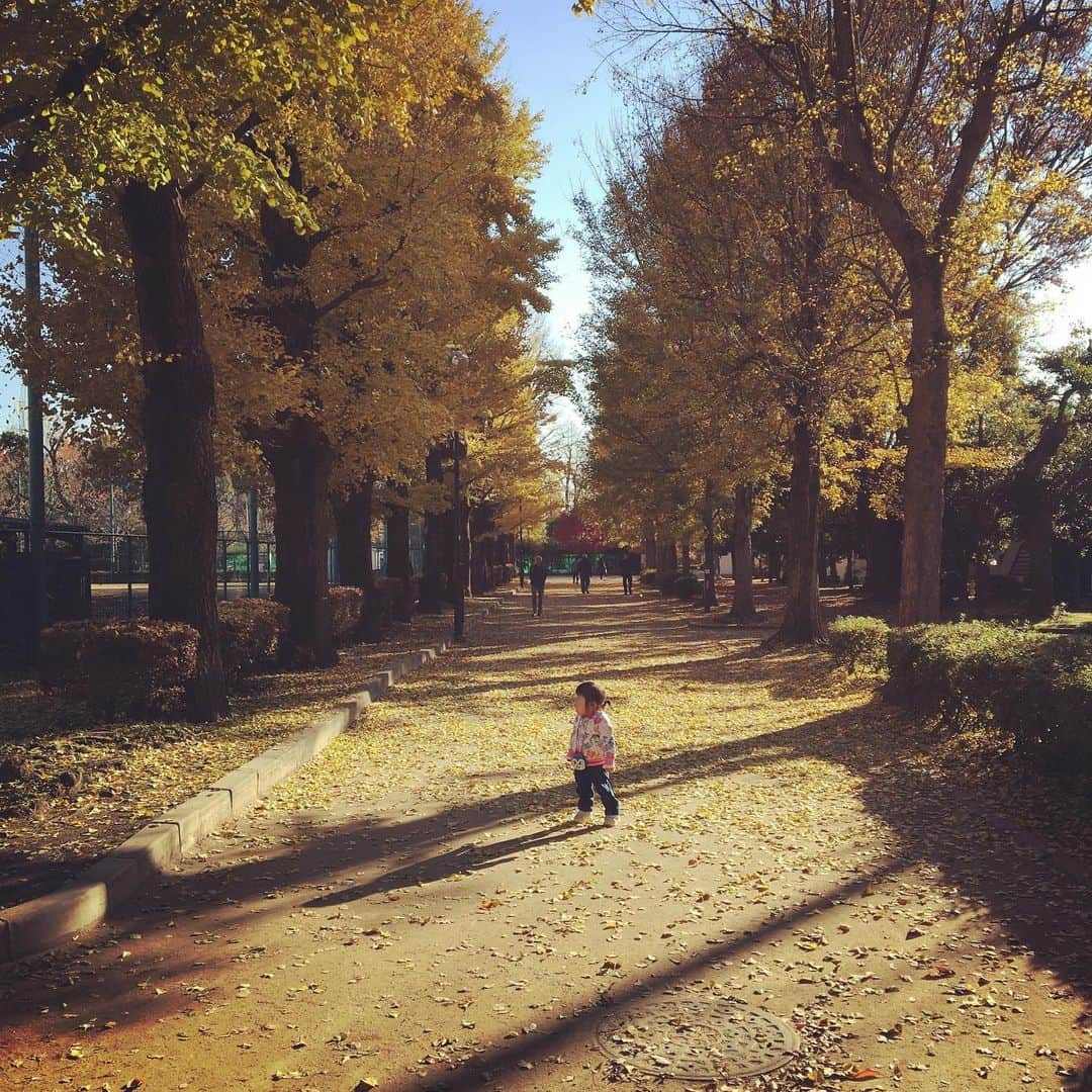 林大介さんのインスタグラム写真 - (林大介Instagram)「秋やね」12月11日 2時14分 - daisukehayashinsta