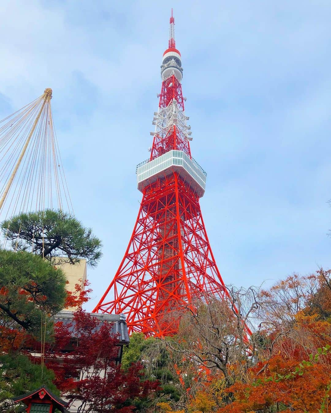 新井恵理那さんのインスタグラム写真 - (新井恵理那Instagram)「東京タワーと紅葉が競い合うようにあかかった♪ #東京タワー #うかい亭 #紅葉 #新井恵理那 #centforce」12月11日 13時36分 - elina_arai