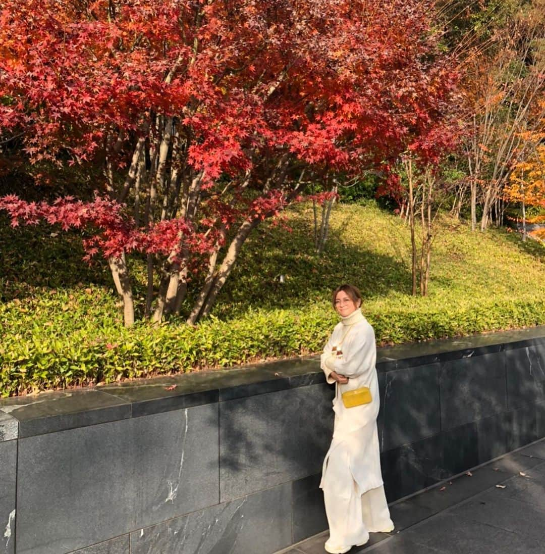 岩堀せりさんのインスタグラム写真 - (岩堀せりInstagram)「🍁🍁🍁」12月11日 14時16分 - iwahoriseri