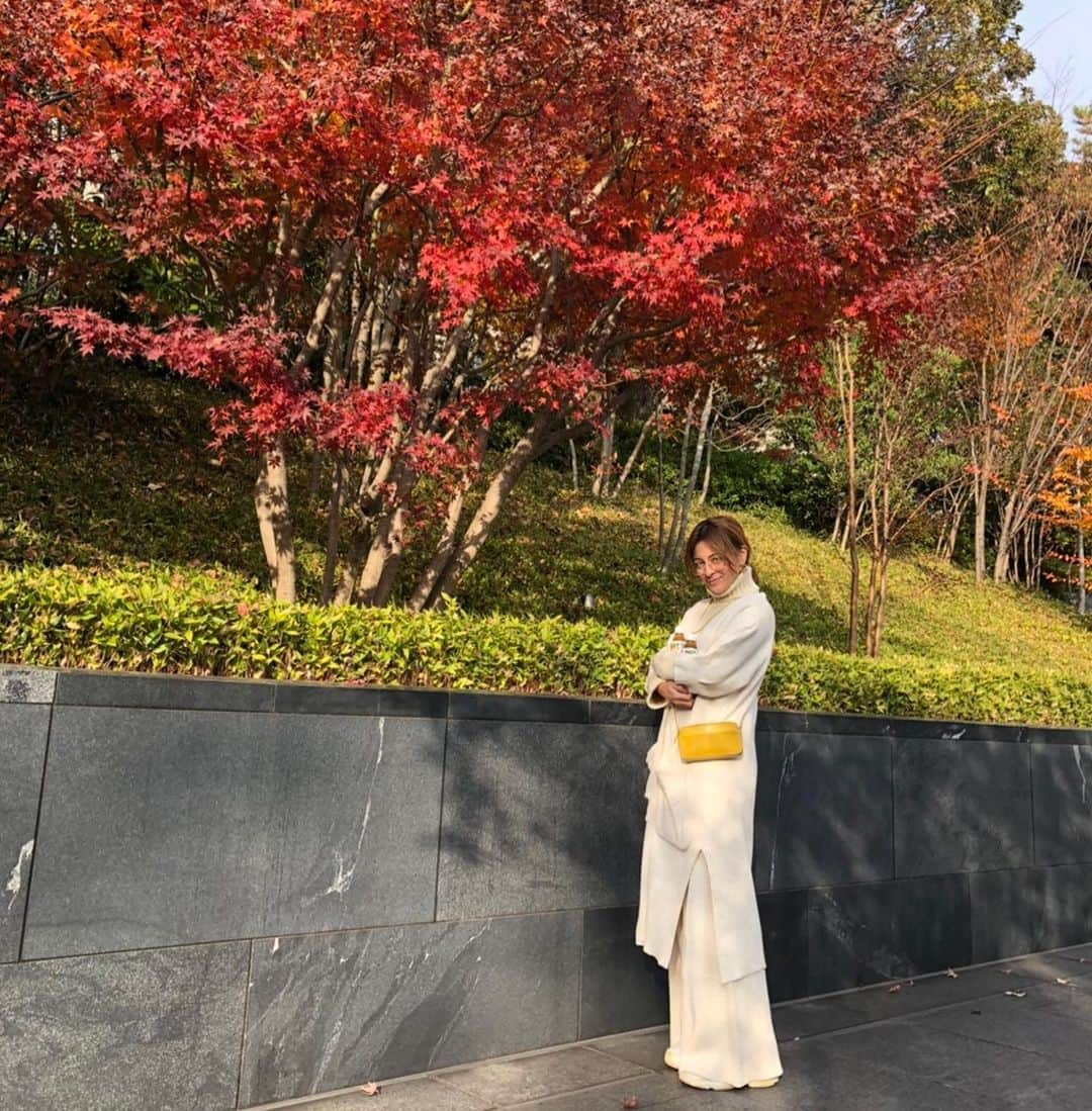 岩堀せりさんのインスタグラム写真 - (岩堀せりInstagram)「🍁🍁🍁」12月11日 14時16分 - iwahoriseri