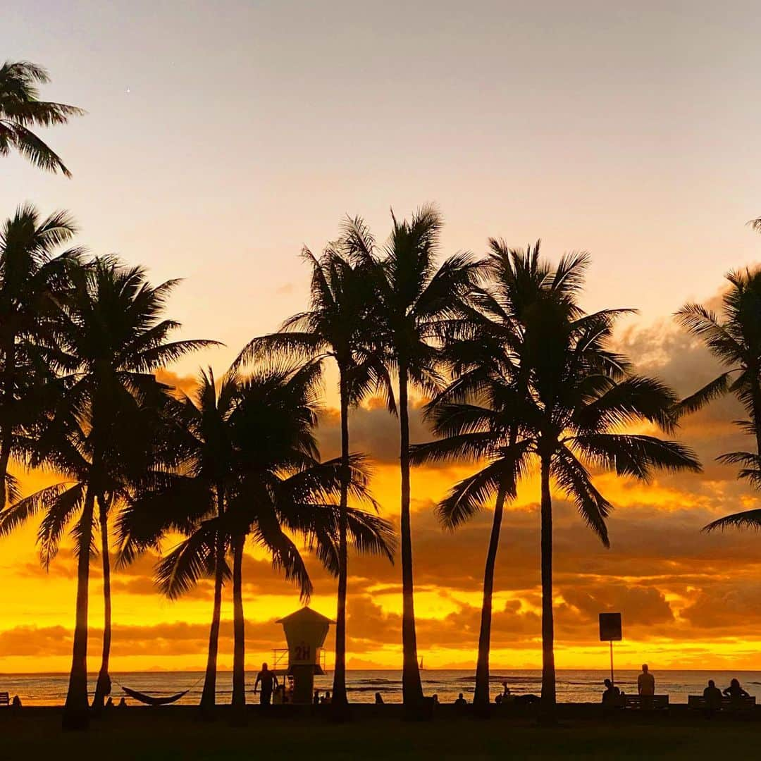 マキ・コニクソンさんのインスタグラム写真 - (マキ・コニクソンInstagram)「今日ハワイでこの夕陽を見た人はめっちゃくちゃラッキーですね！✌🏼本当に本当に本当に例えようのない燃えるようなオレンジ色の空でした！私は17:45-18:30ぐらいまでずっとWaikiki外れのGold Coastからこのオレンジの空を見ていました！どんどんオレンジ色が深くなってきてて途中で帰っちゃうのがもったいなくて… 皆さんに生で見せたかった。でも私のiPhone11 Pro Maxで頑張って撮影したので情熱的な夕焼け空のシェアをさせて下さい！ モヤモヤしてた事とか忘れちゃうよ！これで明日はもっと頑張れそう！💪🏼 #ハワイの夕焼け空のおすそ分け🤙🏼#I日の疲れが吹っ飛んだ！💨#モヤモヤ解消👍🏼」12月11日 15時01分 - makikonikson