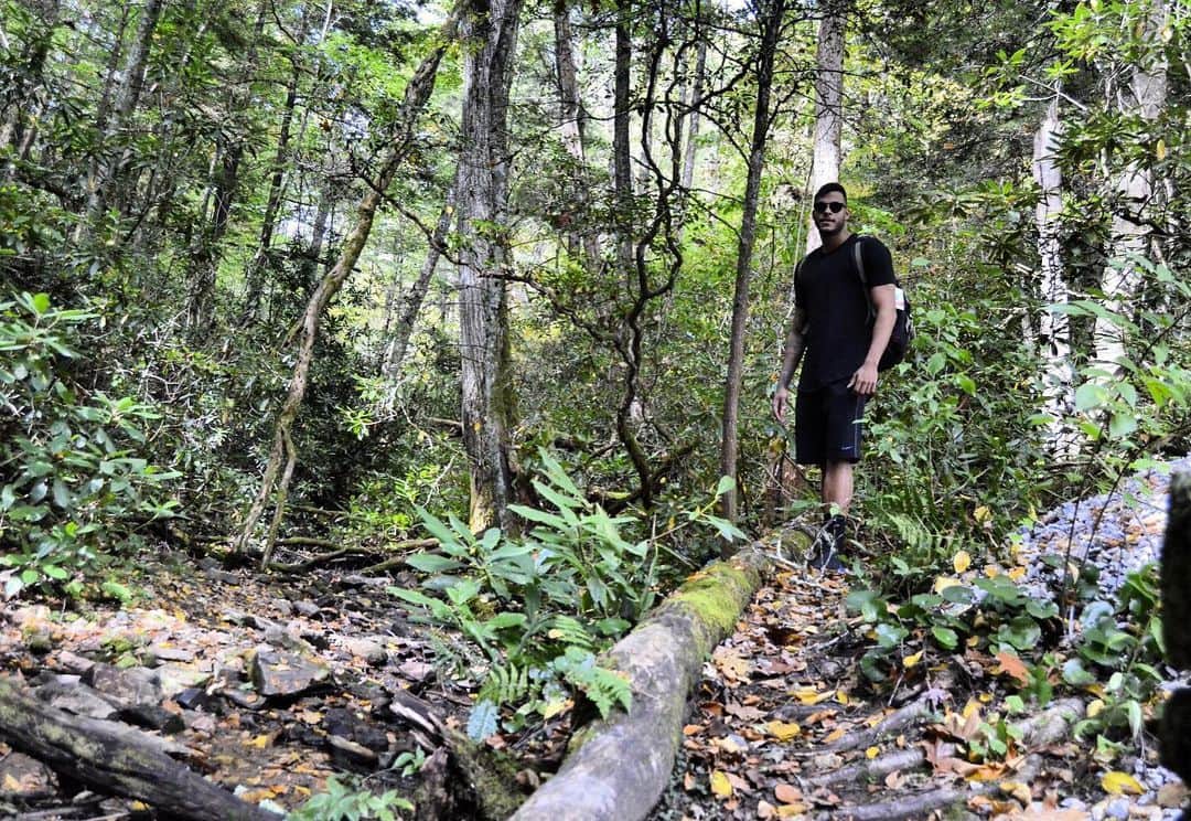 マテウス・サンタナのインスタグラム：「Green environment 🌿🍀🍃」