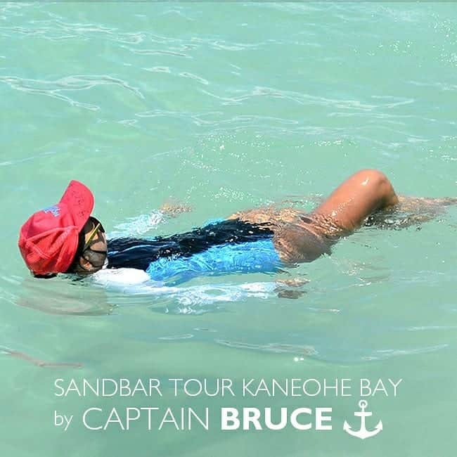 Luxury Cruise by Captain Bruceさんのインスタグラム写真 - (Luxury Cruise by Captain BruceInstagram)「先週はホノルルマラソン前のお客様が多く、そう言えば毎年この時期は、ボートの周りでふわーっと浮いている方が多いです^^⁠ ⁠ マラソン前に、リラックスされているのでしょうか。⁠ 先週末から超良いお天気で、太陽がまぶしいです😎⁠ ⁠ ⁠ #captainbruce #sandbar #kaneohe #hawaii #oahu #oahulife #vacation #travel #ahuolaka #reset #キャプテンブルース #天国の海ツアー #天国の海 #アフオラカ #ハワイ大好き #オアフ島 #絶景 #海でリラックス #ホノルルマラソン」12月11日 7時52分 - cptbruce_hi