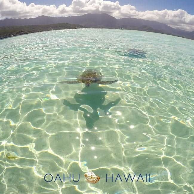 Luxury Cruise by Captain Bruceさんのインスタグラム写真 - (Luxury Cruise by Captain BruceInstagram)「先週はホノルルマラソン前のお客様が多く、そう言えば毎年この時期は、ボートの周りでふわーっと浮いている方が多いです^^⁠ ⁠ マラソン前に、リラックスされているのでしょうか。⁠ 先週末から超良いお天気で、太陽がまぶしいです😎⁠ ⁠ ⁠ #captainbruce #sandbar #kaneohe #hawaii #oahu #oahulife #vacation #travel #ahuolaka #reset #キャプテンブルース #天国の海ツアー #天国の海 #アフオラカ #ハワイ大好き #オアフ島 #絶景 #海でリラックス #ホノルルマラソン」12月11日 7時52分 - cptbruce_hi