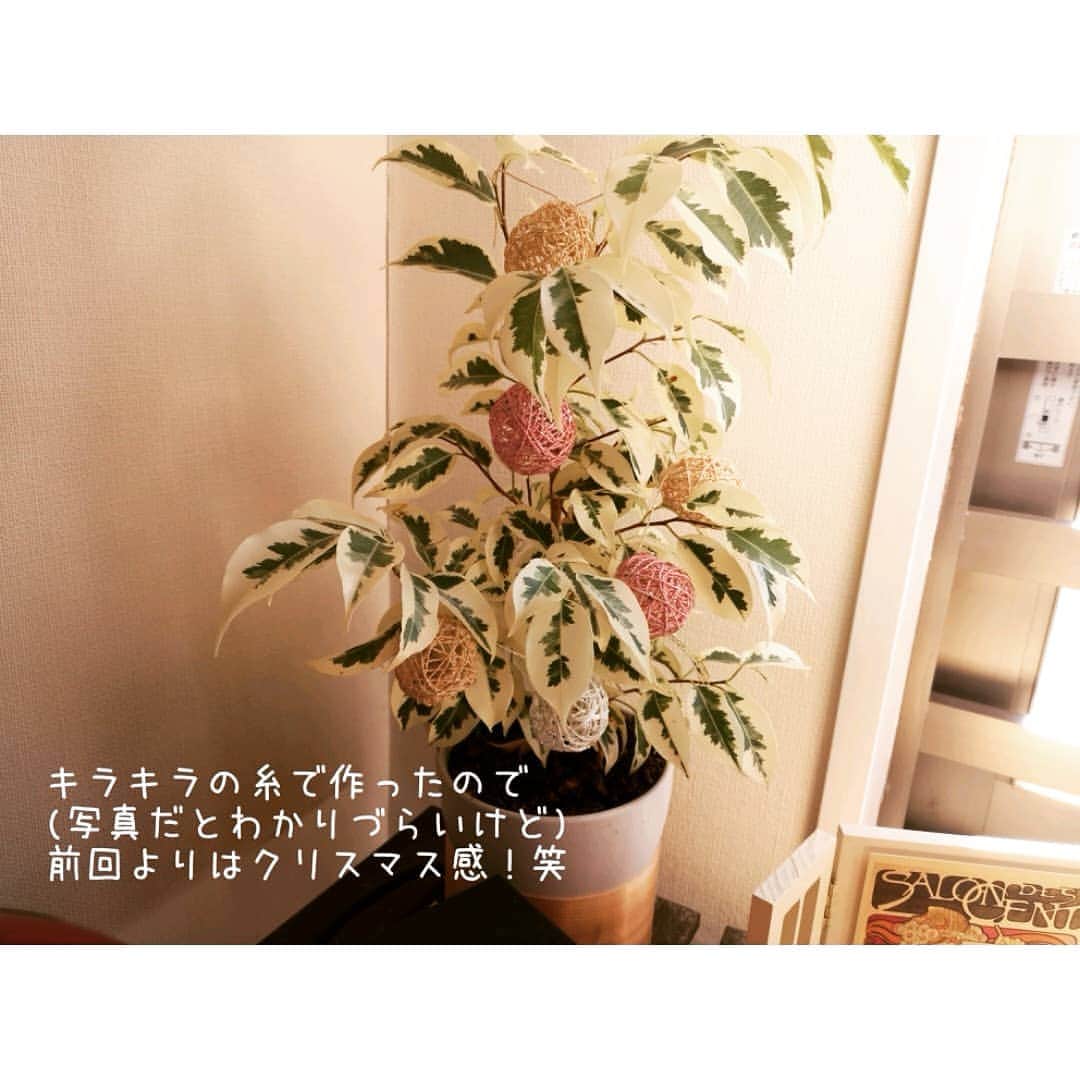 鬼頭由芽さんのインスタグラム写真 - (鬼頭由芽Instagram)12月11日 9時02分 - xxyumeyumexx