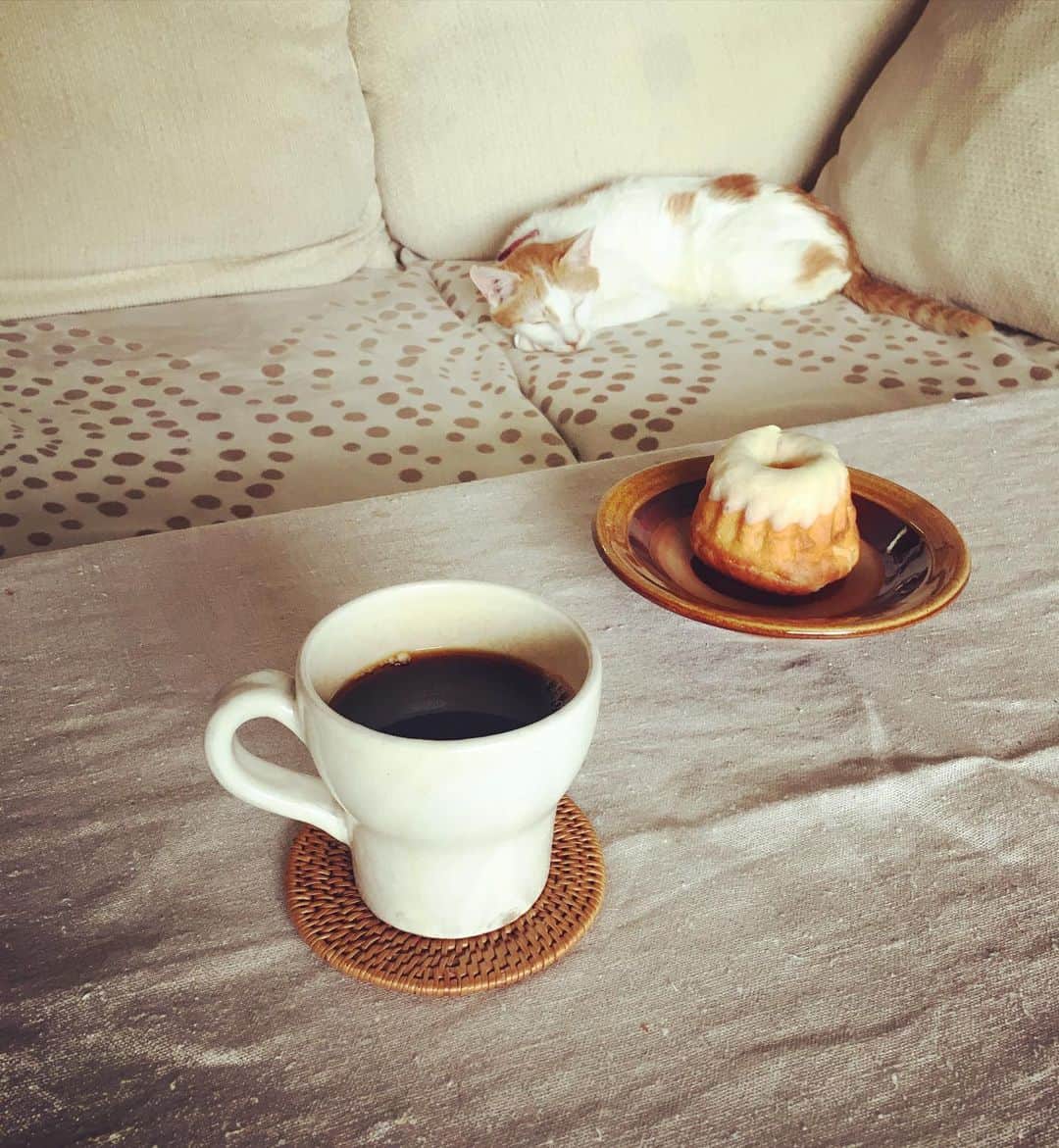 猫沢エミのグルメインスタ