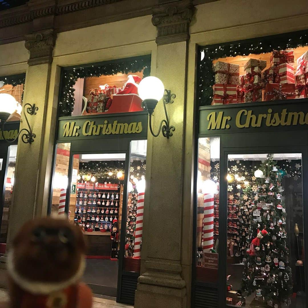 ころのインスタグラム：「ころツーリスト in #イタリア (#ローマ ) .  おはようございます☀ . このお店何が凄いってクリスマス雑貨を年中販売している所😍🎄🎄 . クリスマスシーズンが1年中続いたら良いのになぁーと言う淡い願望をそのまま叶えてしまったおっちょこちょいなお店😆🎄🎄 . ころの他の写真を見たい方はこちらから！  @koro.dottokoi .  #ころツーリスト #旅 #旅日記 #旅スタグラム #旅すたぐらむ #トラベラー #旅に出たい #旅の記録 #旅好き #旅写真 #旅行好き #旅したくなるフォト #旅フォト #マイトリ #旅行大好き #わんこ #ぬいぐるみ #ぬいどり #ぬい撮り写真部 #マイトリップ #旅の思い出 #旅の思い出 #ぬい撮り #ぬい撮りさんと繋がりたい #ぬいすたぐらむ」