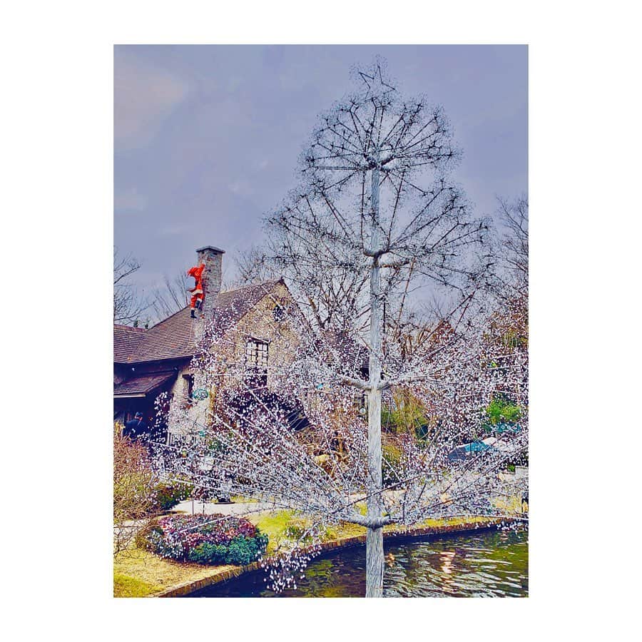 すみれ乃麗さんのインスタグラム写真 - (すみれ乃麗Instagram)「箱根ガラスの森美術館❣️. . 箱根へ行ってきました❤️美術館は山の上なので、とっても寒かったです🥶💦. . 展示はヴェネチアングラスで、とーっても素敵でした😍😍😍以前、松島で藤田喬平さんの美術館でも夢中になったことがあるのですが、今回もヴェネチアングラスの展示品を隈無く見てまわりました💓💓💓ガラス好きなのかもしれません🥰（展示品の写真撮影が可能か分からなかったので、6.7枚目の画像はお土産物です） . . 1枚目はガラスのローズガーデン、3.4枚目はガラスのクリスマスツリー🎄. .  偶然ミニコンサートの時間に当たって、ヴァイオリンとアコーディオンの演奏を聴きました😍. 最後の曲が『黒い瞳』で、宝塚ファンには馴染み深い曲で嬉しかったです💓💓💓. . . 皆さま、ガラスの森美術館のテーマソングがあるのを、ご存知ですか？？ポップで何だか可愛らしくて🤣、気に入ってしまいました❣️❣️❣️. 今後ガラスの森美術館にいらっしゃる方は、出入り口付近で、是非耳を傾けてみてください❤️❤️❤️. . . #箱根ガラスの森美術館 #hakoneglassforest #ヴェネチアングラス #venetianglass #箱根旅行 #hakonetrip . #すみれ乃麗」12月11日 11時25分 - reisumireno