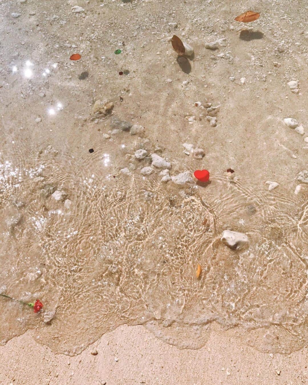 キャシー中島さんのインスタグラム写真 - (キャシー中島Instagram)「*﻿ こんなにいいお天気の日は﻿ 部屋でジーっとはしてられない😜﻿ ﻿ ということで#アラモアナビーチパーク に来ました。﻿ ハルコはジィジと砂遊びです。﻿ 海にはちょっとだけ浸かりました。﻿ あまりきれいな海じゃなかったので泳ぐのをやめました。﻿ ﻿ ﻿ 赤いものがたくさん浮いているので何だろうと思ってよく見たら、薔薇の花びらでした🌹﻿ ﻿ 近くで3組ほどウエディング写真の撮影をしている人たちがいたのできっと薔薇の花びらを空にでも撒いて撮影したのでしょう！﻿ ﻿ 海にあるべきではないものが浮いていたので﻿ ゴミに見えてしまいました。﻿ 「これってどうなんだろう？」と思いながら帰ってきました😢」12月11日 11時53分 - official_kathynakajima