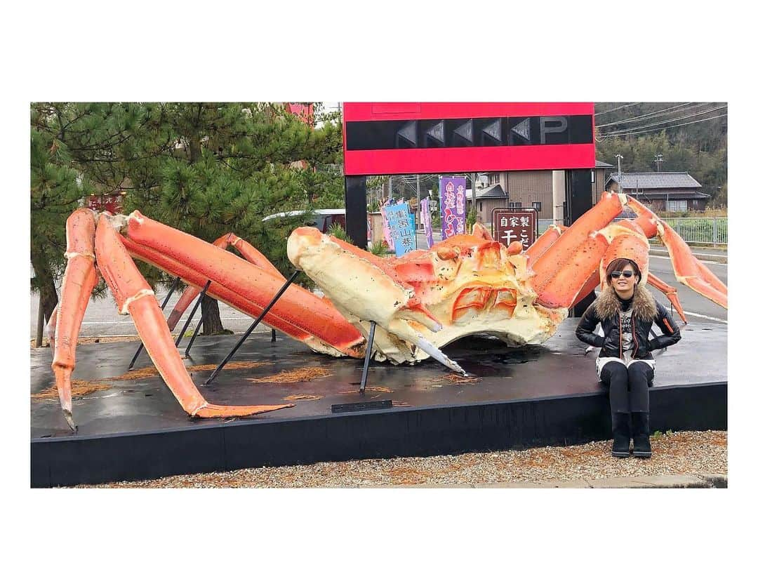 真矢さんのインスタグラム写真 - (真矢Instagram)「12月の恒例行事を終え帰宅🦀 朝食バイキング食べまくったのに、ちょっとお腹すいてきた🤪 洗濯して準備できたらボチボチ出かけようかね〜😙 今週は予定盛り沢山😜‼️ フットワークの軽さの見せ所やぁ〜🐾 ✴︎ ✴︎ #恒例行事 #カニ食べ放題 #日本海 #雪ゼロ #シーズン中にもう一回来たい #でも #値上がりしとった 😞」12月11日 12時42分 - smile_mayaya