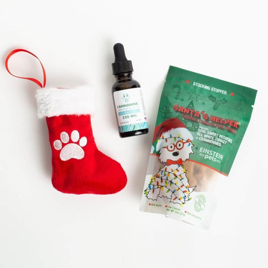 Animalsのインスタグラム：「Know a dog who suffers from arthritis, chronic pain, or anxiety? THIS IS THE PERFECT HOLIDAY GIFT 🎄This CBD starter pack comes with our cute mini stocking, 250mg CBD Oil, and new, yummy Santa’s Helper treats. Learn more or buy link in @cannaninecbd bio.」