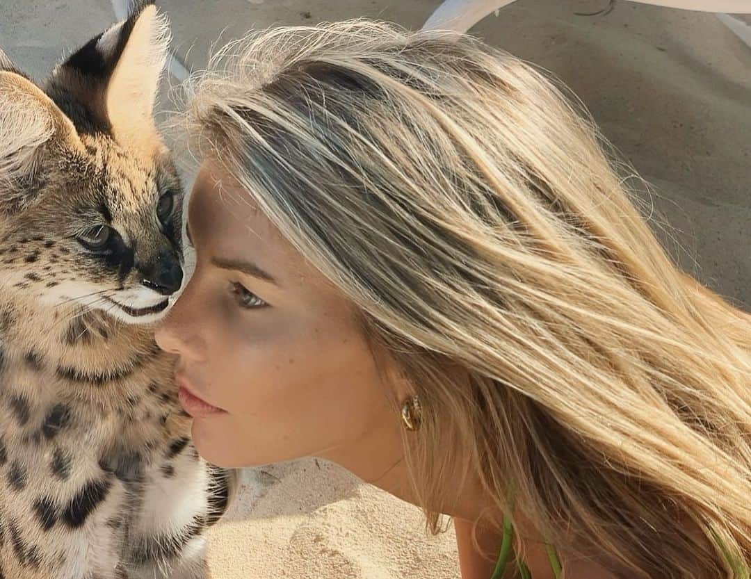 Katelyn Byrdのインスタグラム：「Mini 🐆」