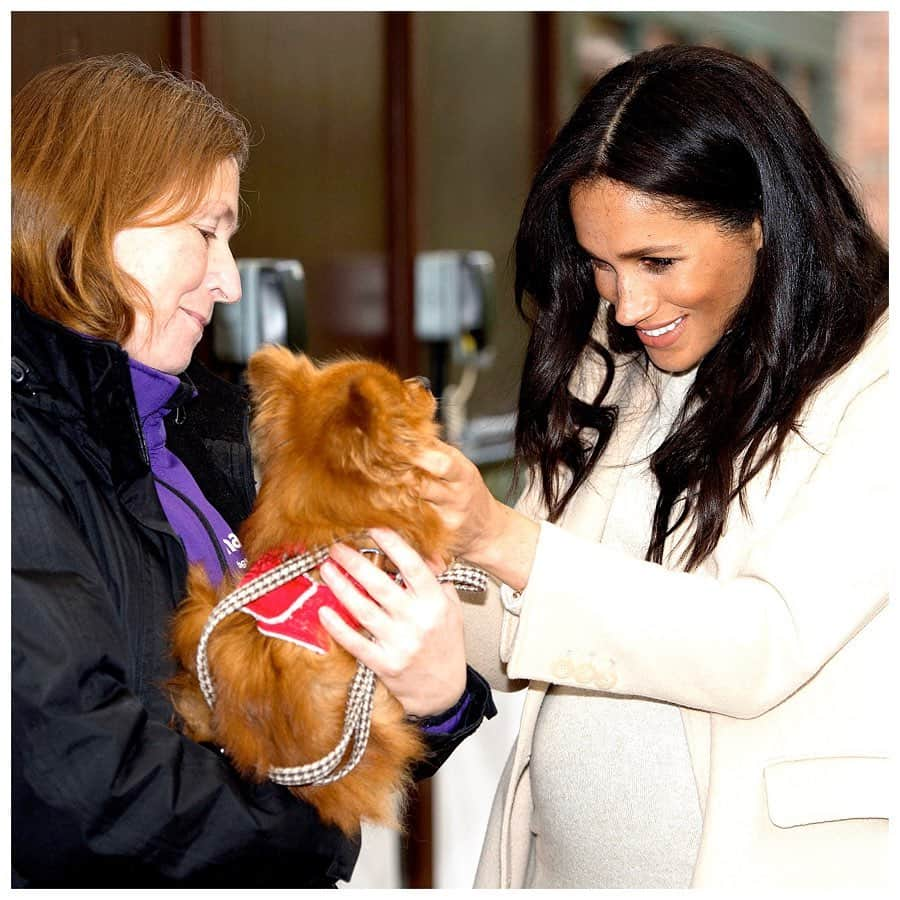 英ヘンリー王子夫妻さんのインスタグラム写真 - (英ヘンリー王子夫妻Instagram)「As we continue to reflect on some of the organisations supported by The Duke and Duchess of Sussex, today we wanted to share more about @TheMayhew, an animal welfare charity which The Duchess became Patron of earlier this year.  Mayhew believes in the power of community and the special bond between humans and animals, which is why their programming does not simply focus on rescuing animals but rather takes a more holistic approach to shaping the lives of pets and humans, alike. Their TheraPaws dogs and volunteers now visit not just care homes and hospitals, but also mental health facilities and youth groups – expanding the benefits of animal assisted therapy into much needed areas. They also work with the homeless community assisting with treatments and check ups for their pets so that the most vulnerable can trust that their pet will remain by their side.  This year, Mayhew has continued its specialized work overseas, vaccinating more than 30,000 dogs against rabies and other diseases, and empowering locals to improve animal welfare humanely and sustainably. The Duchess is also proud that they are creating opportunities for women, with the female led vet team in Kabul neutering 2,500 dogs so far this year.  As a long-time rescue dog owner, The Duchess of Sussex is proud to be Mayhew’s Patron and applauds them for the vital work that they do every day.  Please visit @TheMayhew to learn more, as Mayhew continue their very important contribution to the community for all of us and the pets we hold dear.  Photo © PA / Ivan Flores / Tamara Yoxall」12月11日 22時58分 - sussexroyal