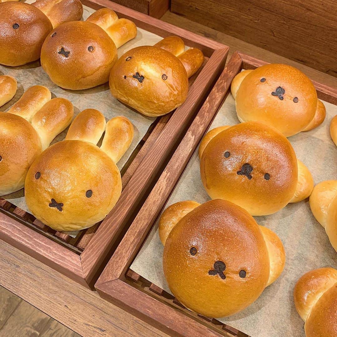 古関れんのグルメインスタ