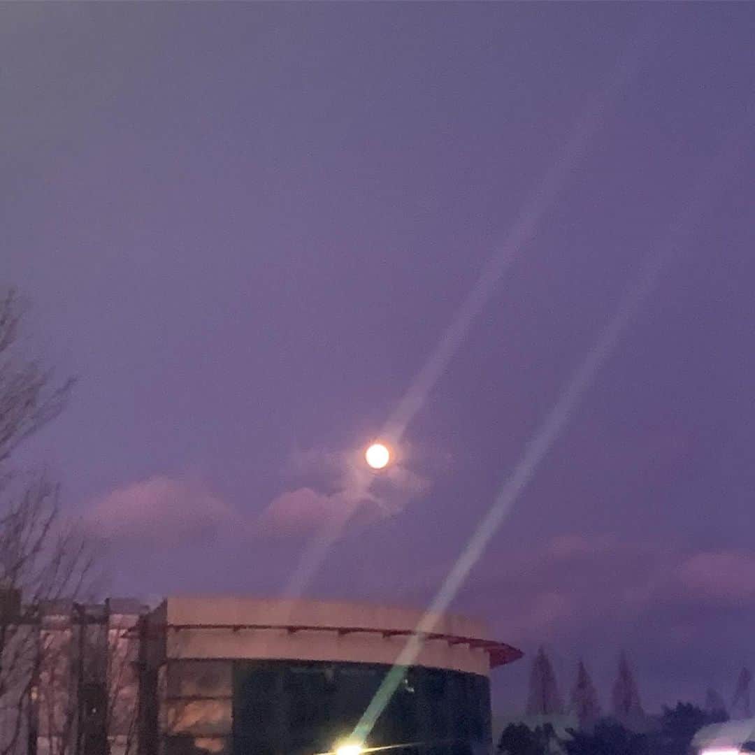 チェ・リさんのインスタグラム写真 - (チェ・リInstagram)「무척이나 아름다웠던 오늘의 달 #🌕」12月11日 23時06分 - choicherry_