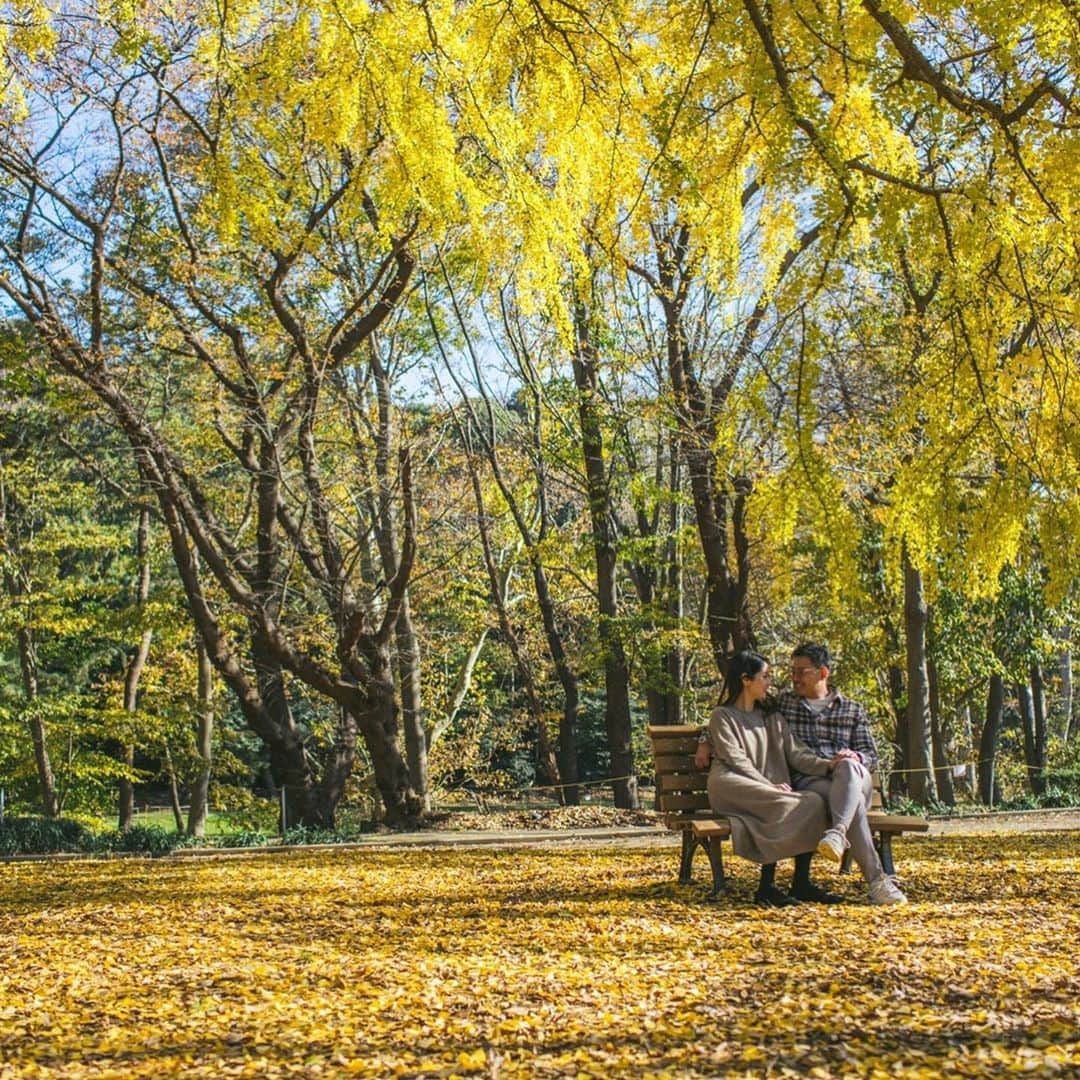 片山麻紀子さんのインスタグラム写真 - (片山麻紀子Instagram)「. The autumn leaves🍁🍂﻿ ﻿ ２人⇨４人の写真﻿ ﻿ 急に２人で撮ることになって恥ずかしすぎて﻿ ﻿ 『え、何話す？なんか話して！』ってなってますが笑﻿ ﻿ こんな素晴らしい紅葉と撮ってもらえて﻿ なんだかんだとても気に入っている写真♡﻿ ﻿ 毎年同じ時期に同じベンチで みんなで撮ってもらうのもありだなぁ♡﻿ . by @8s_hero 🥰🙏🏻笑 ﻿ ﻿ #自分紅葉がすごく好きなことに先週気づく #自分B型ではなくO型だと昨日気づく #これ本当の話し #知ったあとしばらく挙動不審 #血液型は1才前後で変わることがある #に該当しました」12月12日 0時04分 - akiko810k