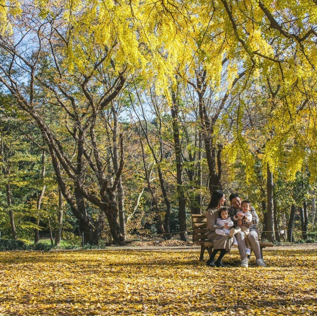 片山麻紀子さんのインスタグラム写真 - (片山麻紀子Instagram)「. The autumn leaves🍁🍂﻿ ﻿ ２人⇨４人の写真﻿ ﻿ 急に２人で撮ることになって恥ずかしすぎて﻿ ﻿ 『え、何話す？なんか話して！』ってなってますが笑﻿ ﻿ こんな素晴らしい紅葉と撮ってもらえて﻿ なんだかんだとても気に入っている写真♡﻿ ﻿ 毎年同じ時期に同じベンチで みんなで撮ってもらうのもありだなぁ♡﻿ . by @8s_hero 🥰🙏🏻笑 ﻿ ﻿ #自分紅葉がすごく好きなことに先週気づく #自分B型ではなくO型だと昨日気づく #これ本当の話し #知ったあとしばらく挙動不審 #血液型は1才前後で変わることがある #に該当しました」12月12日 0時04分 - akiko810k