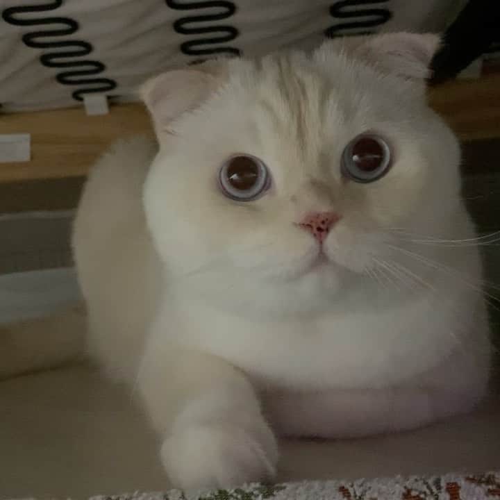 SoonMooのインスタグラム