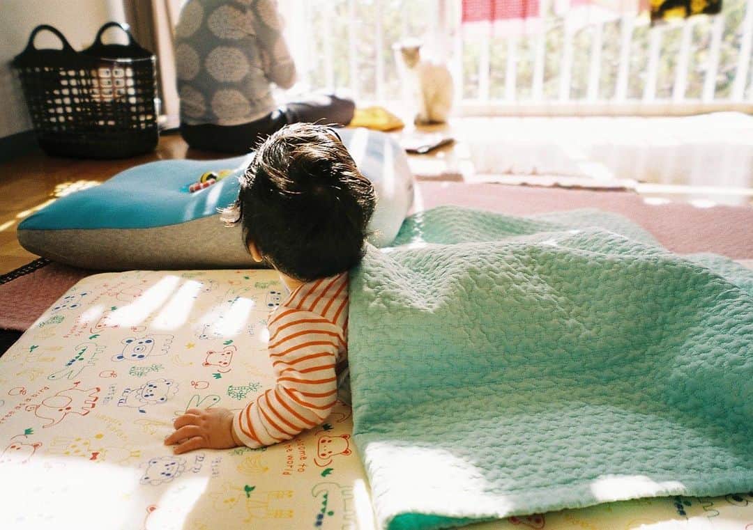 松田青子のインスタグラム：「#naturaclassica #fujifilmxt100」