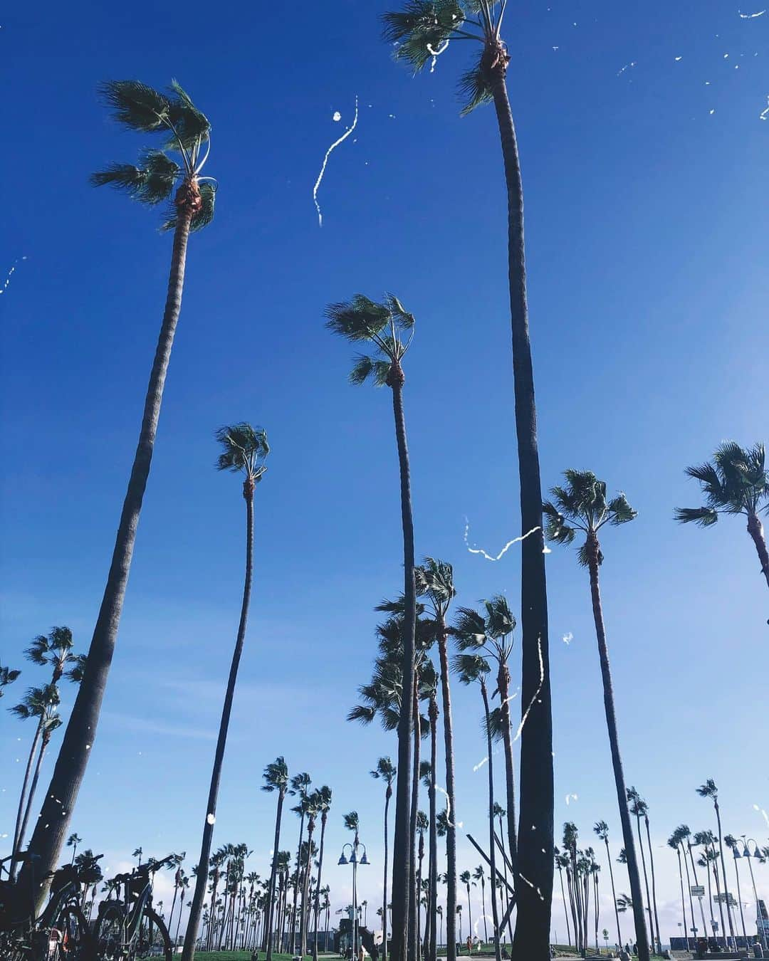 ケリーさんのインスタグラム写真 - (ケリーInstagram)「Hello Venice 💙💛 ・ 今、ベニスビーチに来ています☺️💕 ・ #venice#la#venicebeach#ロス#ベニス」12月11日 16時34分 - kellymisawa