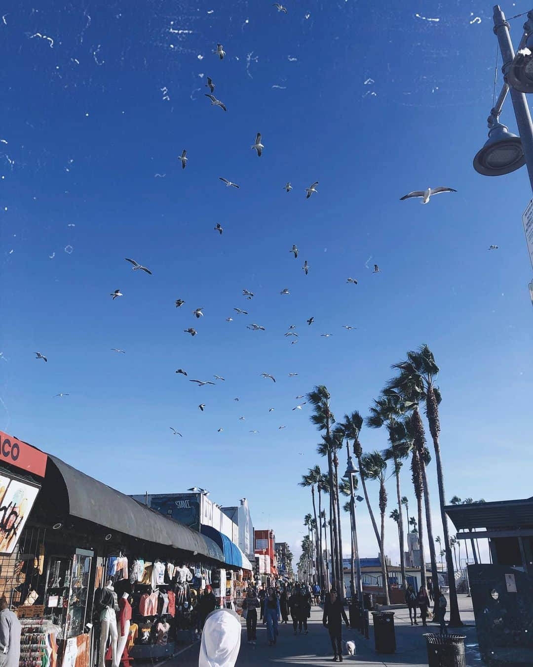 ケリーさんのインスタグラム写真 - (ケリーInstagram)「Hello Venice 💙💛 ・ 今、ベニスビーチに来ています☺️💕 ・ #venice#la#venicebeach#ロス#ベニス」12月11日 16時34分 - kellymisawa