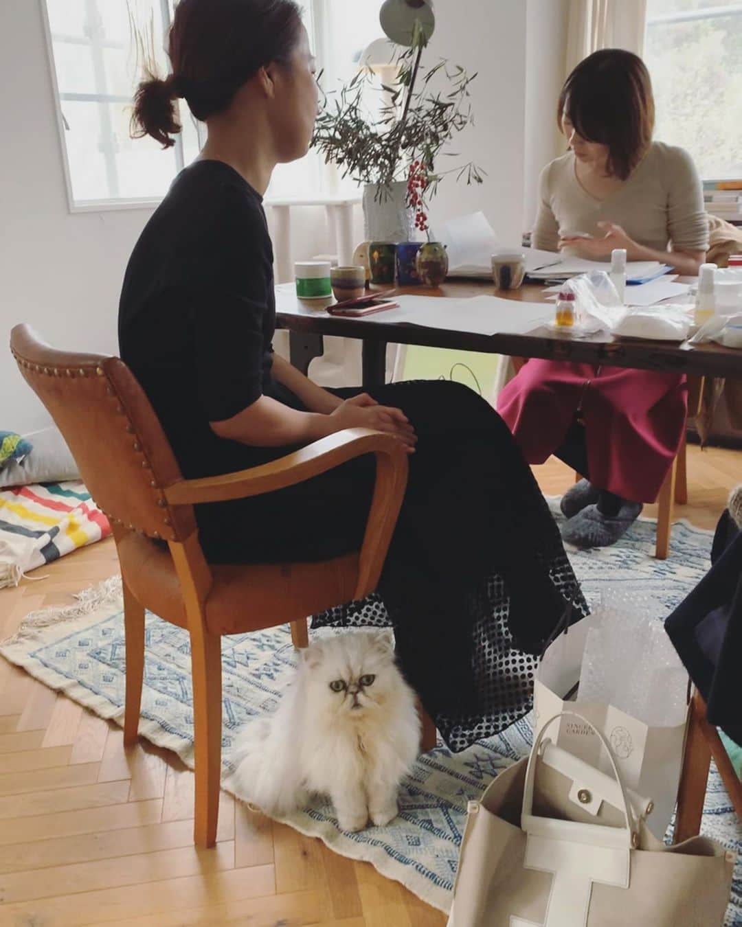 早坂香須子さんのインスタグラム写真 - (早坂香須子Instagram)「本日自宅打ち合わせ。 なこ様もネロリラチームのひとり…のつもりらしい😹」12月11日 16時36分 - kazukovalentine