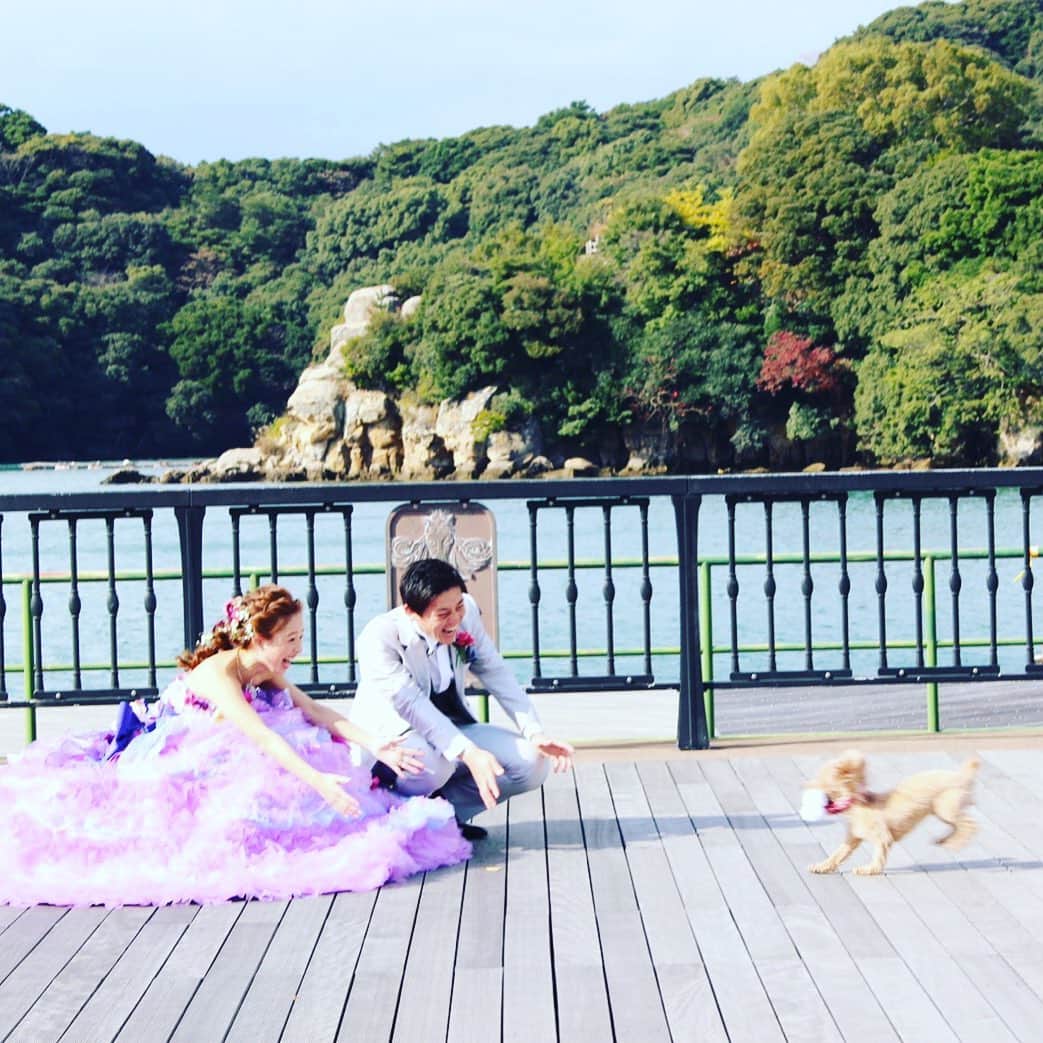 九十九島ベイサイドホテル＆リゾート フラッグスのグルメインスタ